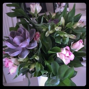 Meet your Posher, Jen